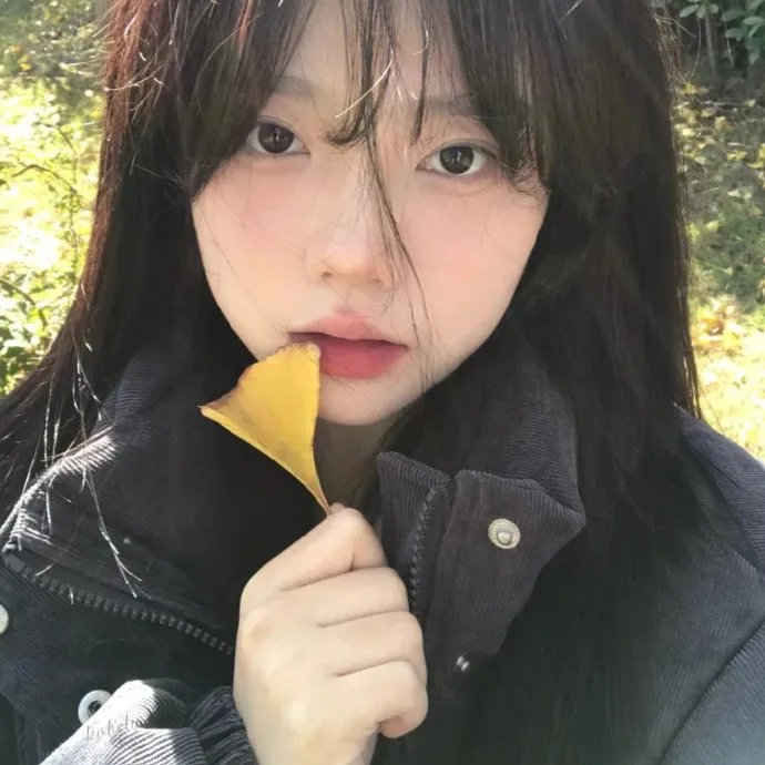 致命访客